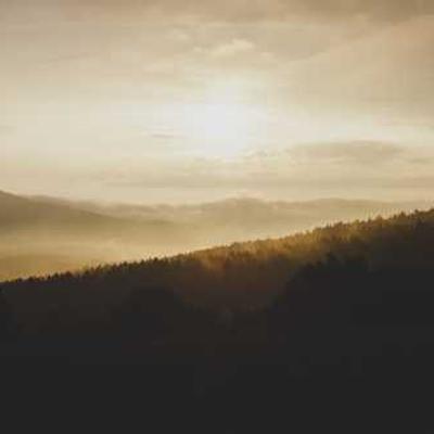 Psicóloga Ana Costa